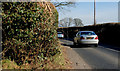 Narrow footpath near Hillhall, Lisburn