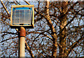 Solar panel near Lisburn