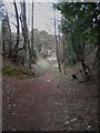 Footpath leading down to the Bridgnorth Road