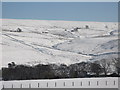 Snowy pastures near Hammer Shields (2)