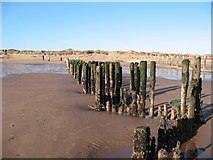SX9979 : Remains of old groynes, Dawlish Warren beach by David Gearing