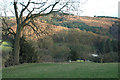 Walker on Calcot Hill