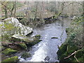 River Cefni in the Dingle