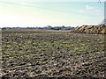 Looking across the field to Bagmere Farm