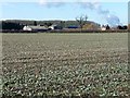 Farmland near Gate Burton (2)