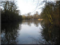 SP0299 : Park Lime Pits - main pool by Roger Jones