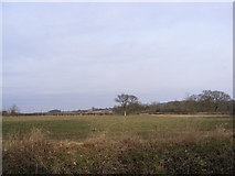 TM3569 : Fields next to the footpath to Pouys Street by Geographer