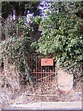 TM3569 : Old gate to Peasenhall Primary School by Geographer
