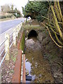 TM3569 : Stream and Culvert next to the A1120  Hackney Road,Peasenhall by Geographer