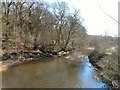 River Tame