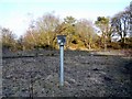 Landfill gas vents, Heddon Common