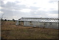 Derelict glasshouses, Station Farm Nurseries