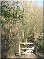 Footbridge near Tilden Gill in Oasthouse Wood