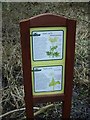 Nature trail - description boards