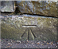 Bench Mark, Bangor