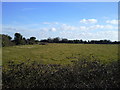 O0449 : Field, Peacockstown, Co Meath by C O'Flanagan