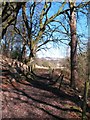 Footpath near Ridge Mill Bridge