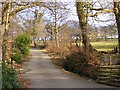 Lane, Gnoll Park, Neath