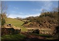 Combe near Chapel Leigh