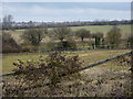 Fields near Creeting St Mary