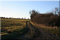 Farmland to the west of Edworth