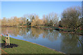 Lake on Stag Hill, University of Surrey