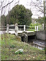 Orleton - Snowdrops At Millbrook Way Bridge