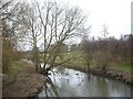 Downstream River Skerne