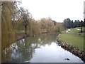 Upstream River Skerne