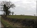 Hillside Near Halfway House