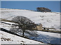 Snowy pastures around High Turney Shield