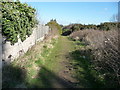 Bournemouth : Footpath at Fernheath Valley