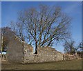 Strathavon Cottage (ruin)