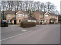 Houses in Florence Way