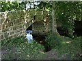 Rushford Bridge, over the River Teign