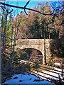 Forest railway bridge