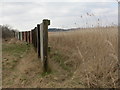 Turlin Moor, bird hide