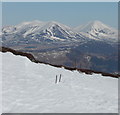 Fence posts in the snow