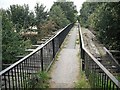 NS8291 : Bridge, Polmaise mineral line by Richard Webb