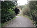 Cycle path under the A91