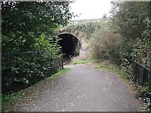 NS8192 : Cycle path under the A91 by Richard Webb