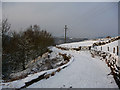 Horsehold Road below Horeshold