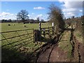 Track, Fordton