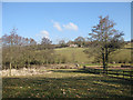 View to Studley Cottages