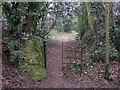 Footpath off Pook Hill near Chiddingfold