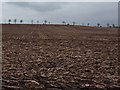 SK6546 : Ploughed field at Hunter's Hill Farm by Peter Barr