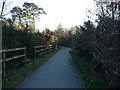 Poole : Canford Heath Footpath