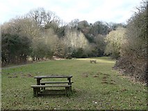 ST3297 : Sor Brook picnic area by Robin Drayton