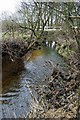 Stream near Great Streele Farm