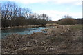 Pond near Visitors